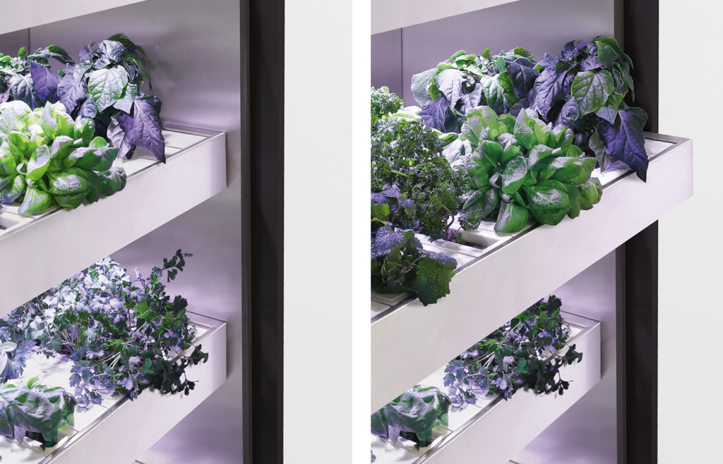 Система хранения Arclinea Hortus